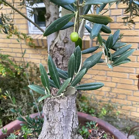 Villa Med Havudsigt *