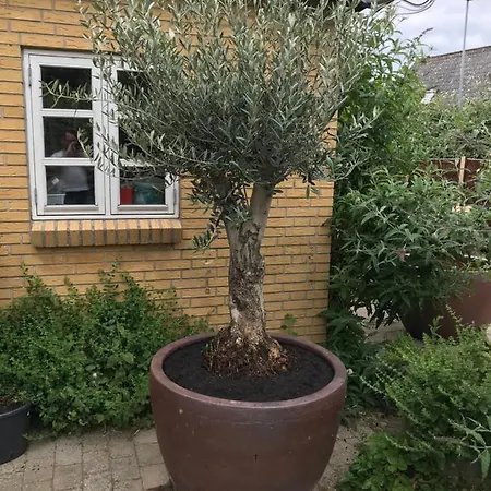 Villa Med Havudsigt *